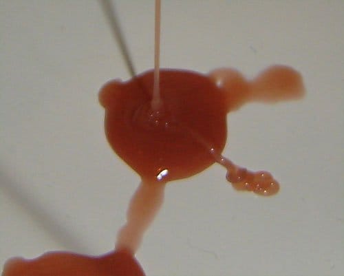 chocolate4.jpg