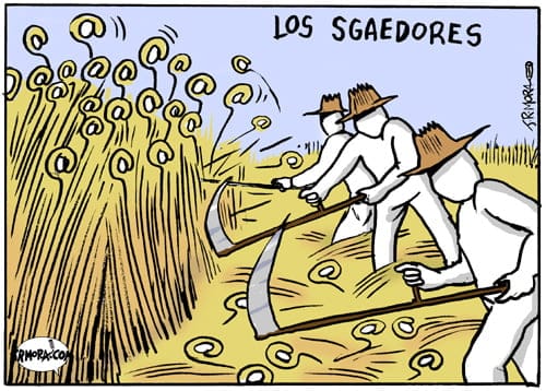 sgaedores