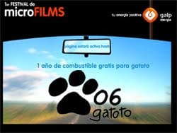 gatoto.jpg