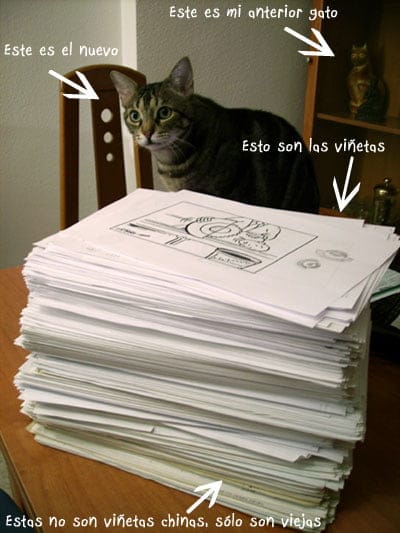 concurso