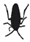 cuca2.gif