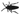 cuca3.gif