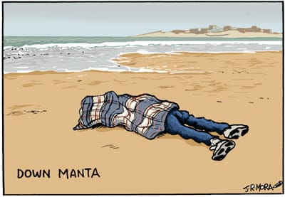 manta1.jpg