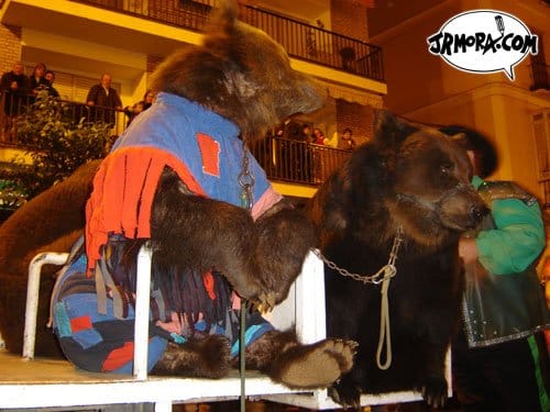 oso9.jpg