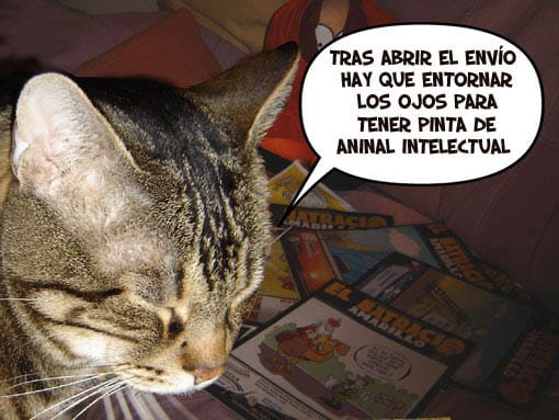 batracio1.jpg