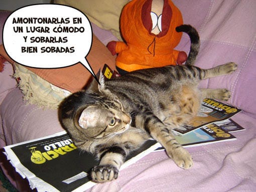 batracio2.jpg