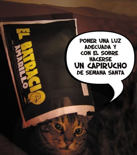 batracio3.jpg