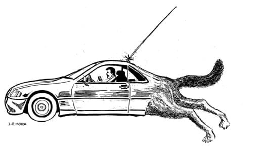 caza-zorro.jpg