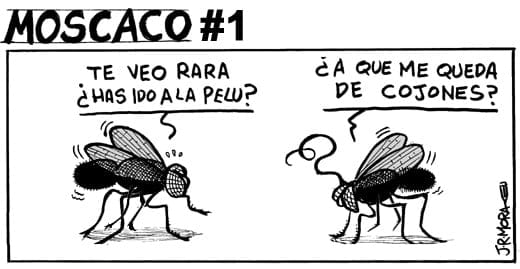 210109-moscaco-01 210109-moscaco-01