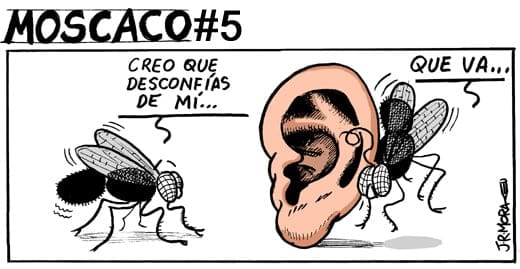 250109-moscaco-05
