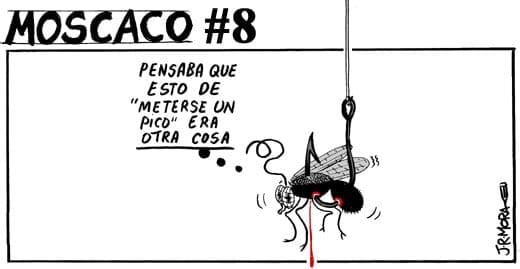 010209-moscaco-08
