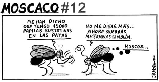 070209-moscaco-12