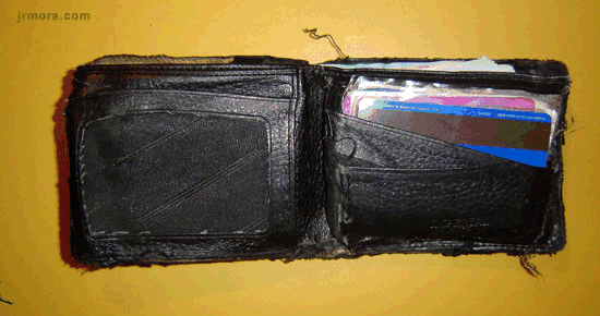 mosca-cartera mosca-cartera